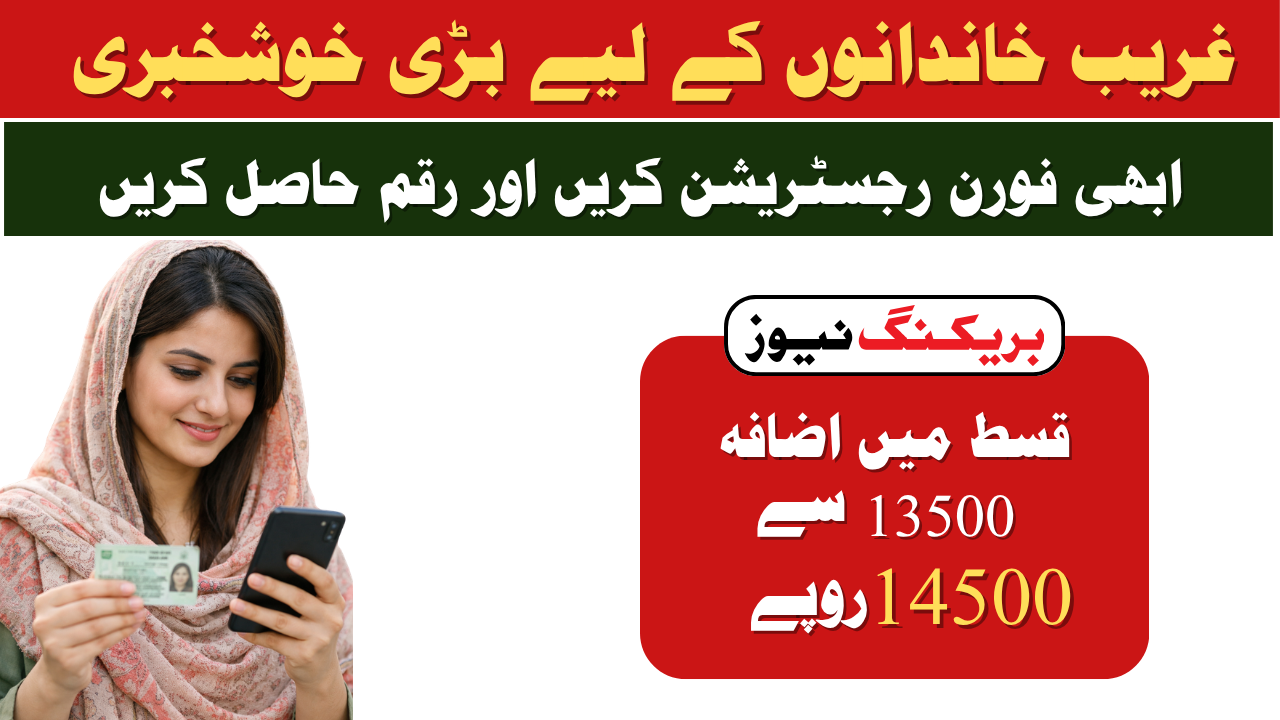 BISP 8171 Payment Online