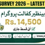 BISP Survey 2026