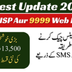 8171 BISP Aur 9999 Web Portal
