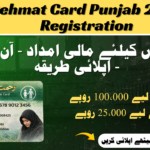 Rehmat Card Punjab 2026