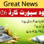 Punjab Widow Scheme 2026