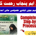 CM Punjab Rahmat Card Apply Online
