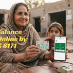 BISP Balance Check Online by CNIC 8171