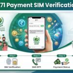 8171 Payment SIM Verification