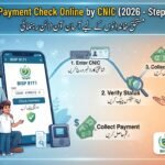 BISP 8171 New Payment