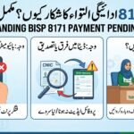 is Your BISP 8171 Payment Pending